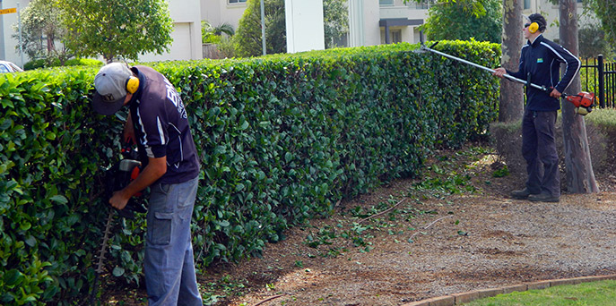 bne lawn garden maintenance services