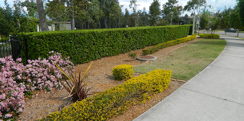 landscape management