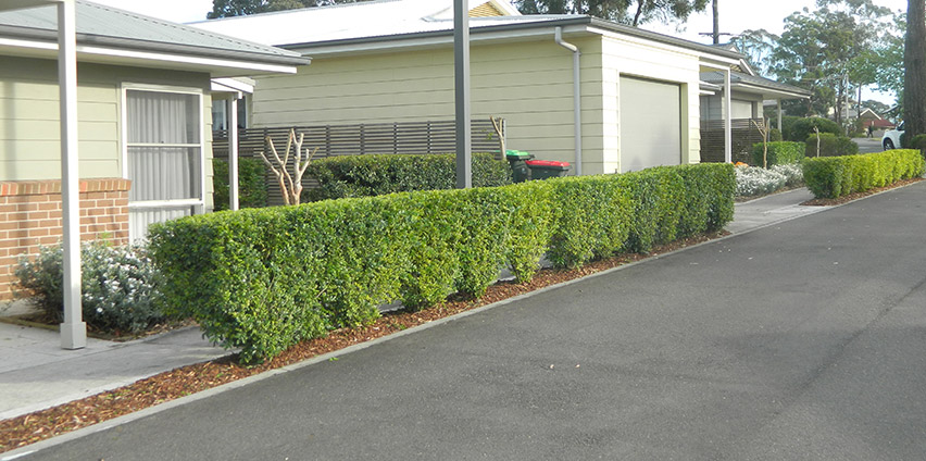 strata management landscaping